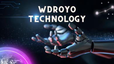 wdroyo tech